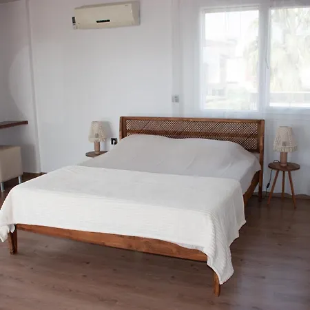 Gorgeous 5br 5ba With Private Pool Kusadasi